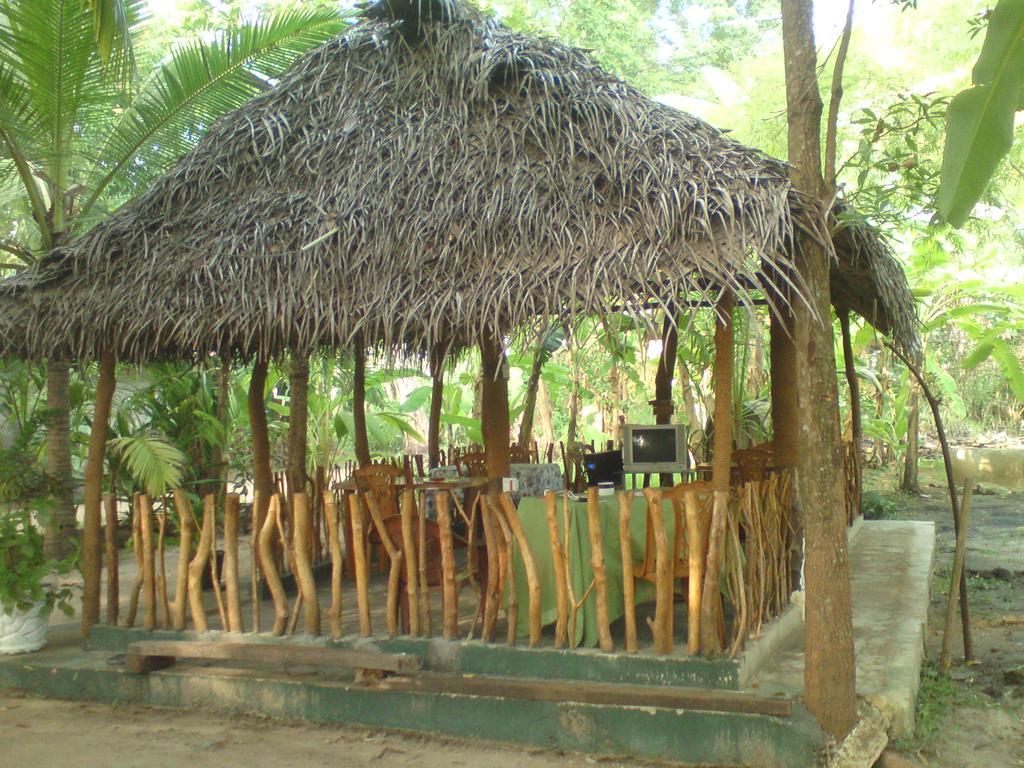 Coconut Park Bed & Breakfast Anuradhapura Eksteriør bilde