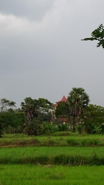 Coconut Park Bed & Breakfast Anuradhapura Eksteriør bilde