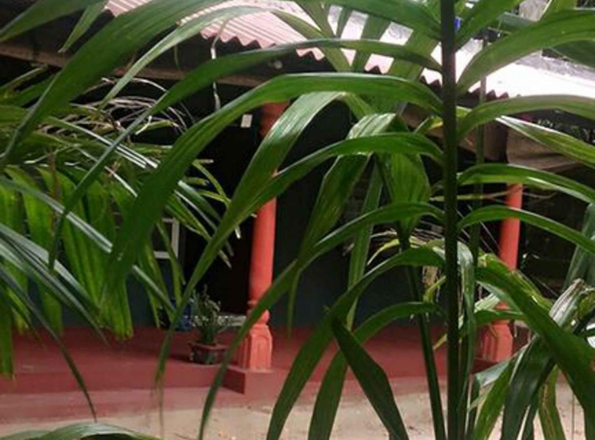 Coconut Park Bed & Breakfast Anuradhapura Eksteriør bilde
